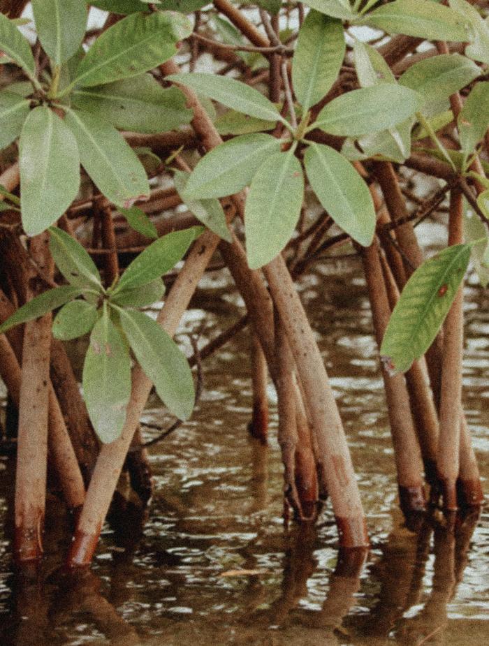 New vertical image 1